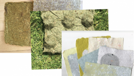 Plant and fungi paper ... | HKU Bookstack