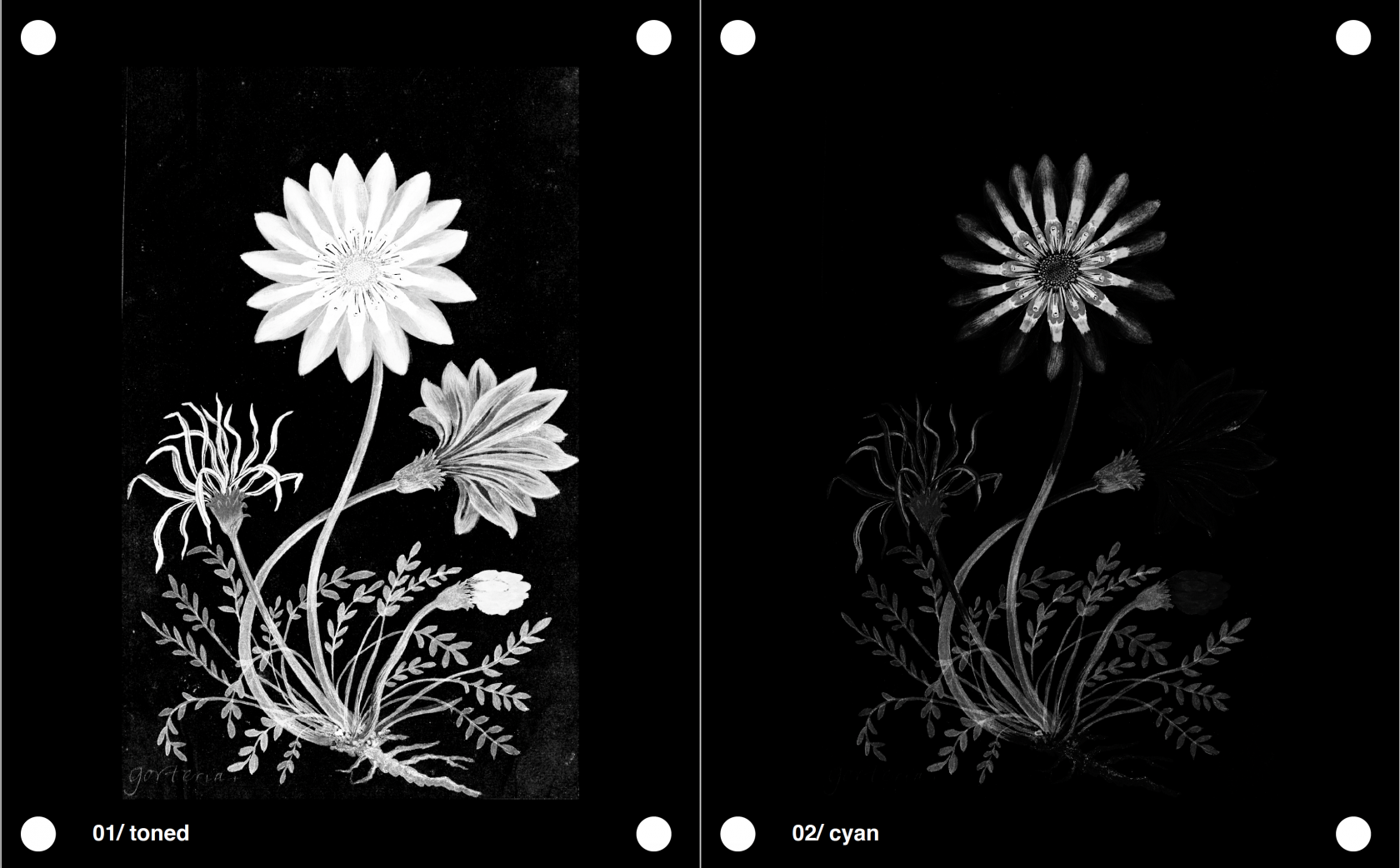 Screenshot 2025-12-03 at 19.30.03.png